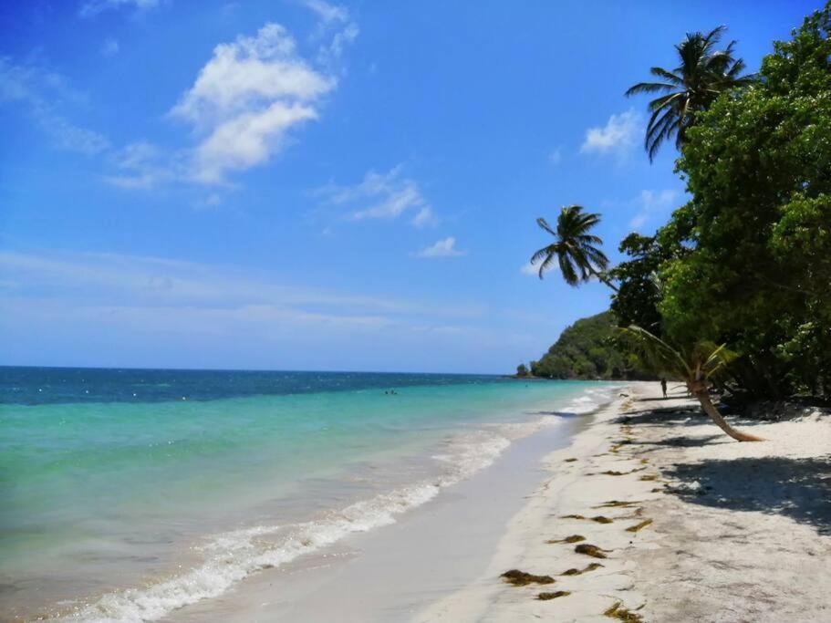 Mi Hermosa - Casa Islena A 70 Metros De La Playa Archibolds Kültér fotó