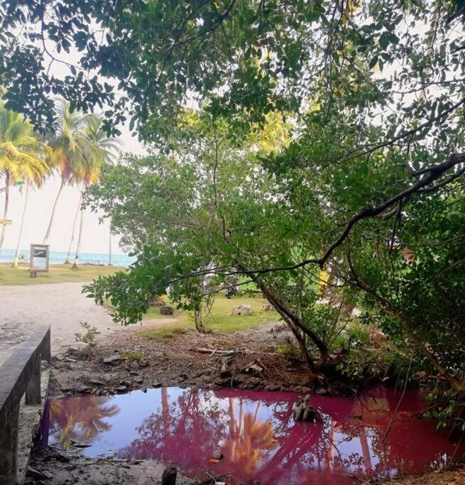 Mi Hermosa - Casa Islena A 70 Metros De La Playa Archibolds Kültér fotó